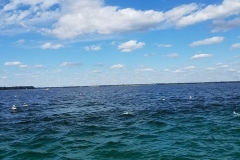 Florida Fishing 2